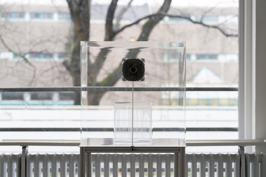 Dem Fisch das Wasser zu erklären