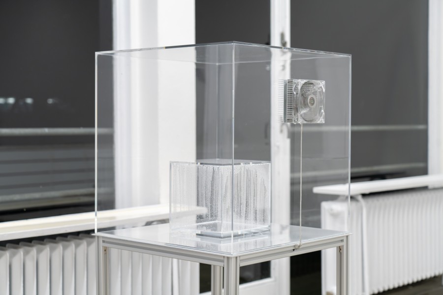 Dem Fisch das Wasser zu erklären